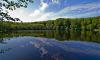 Ein See im Wald