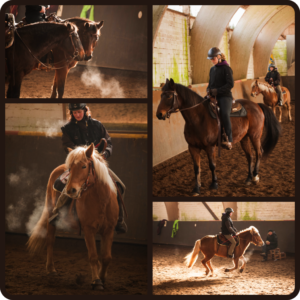 02-2013 Reitkurs Billingshausen