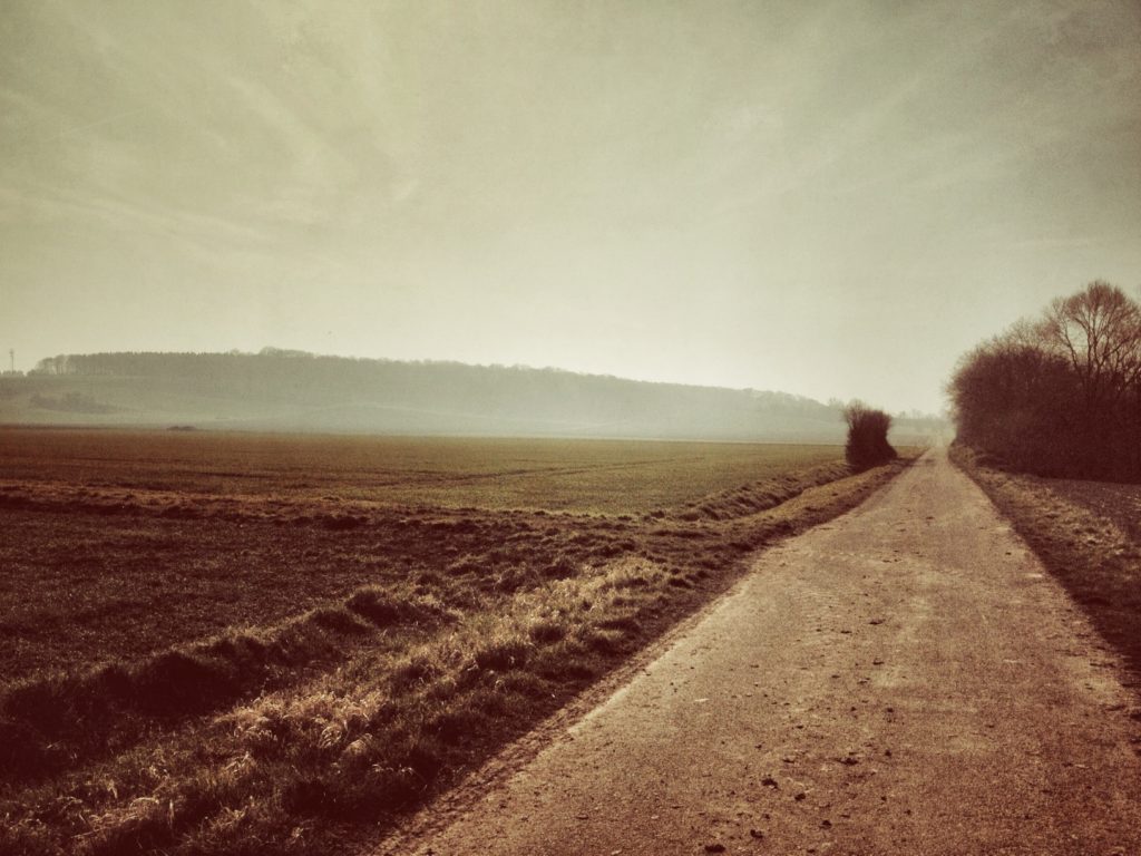 Auf dem Weg zurück an Feldern vorbei bei tollem Wetter.